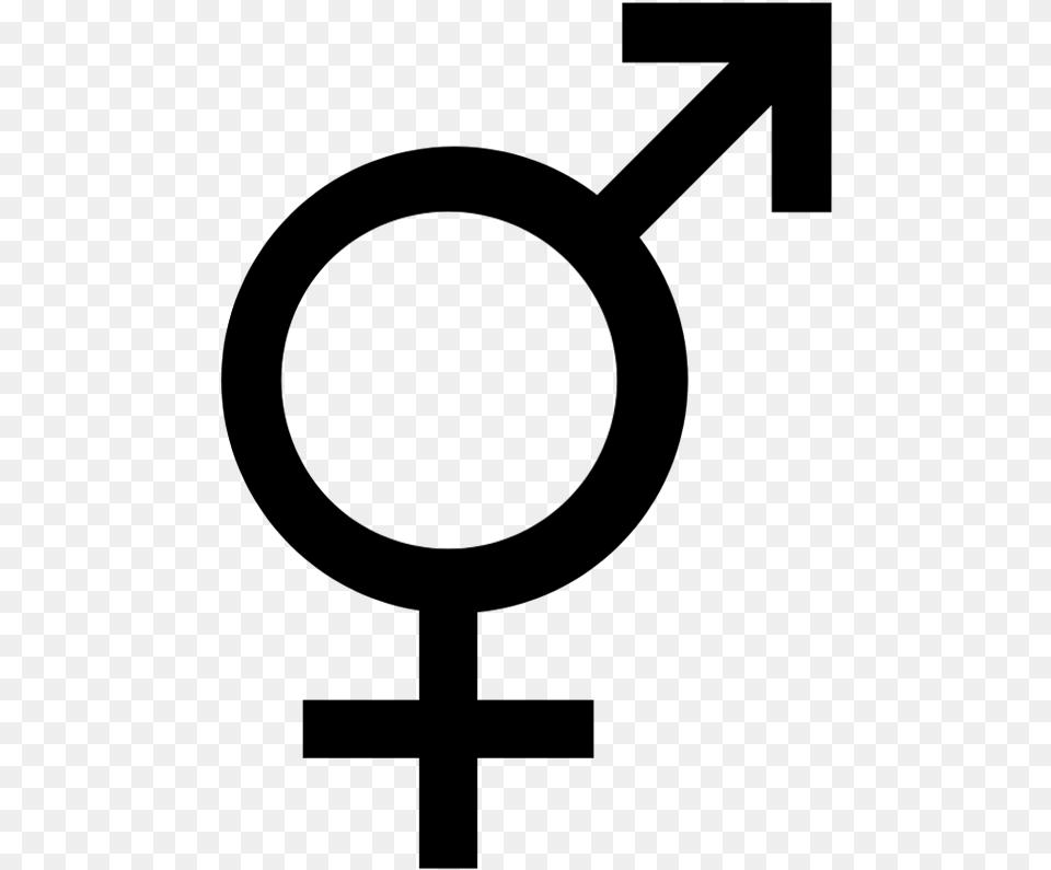Gender Symbols Clipart Symbol For Bisexual Flower, Gray Free Png
