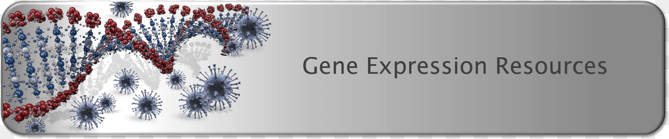 Gene Expression Resources Poppy, Art, Floral Design, Pattern, Graphics Free Png