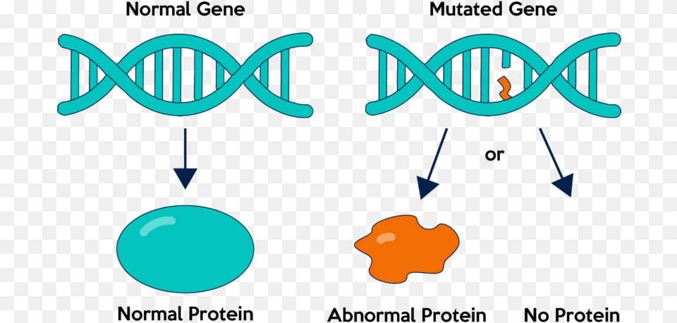 Gene Mutation Clipart, Light, Astronomy, Moon, Nature Free Png