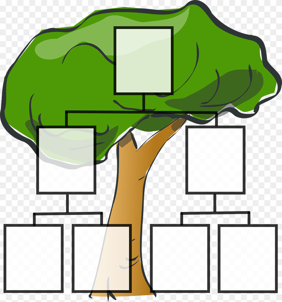 Genealogy Ask The Experts, Green, Plant, Tree, Vegetation Png Image