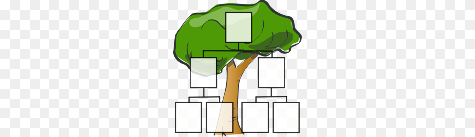 Genealogy Clipart, Green, Plant, Tree, Vegetation Png Image