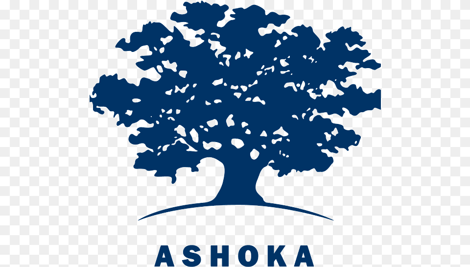 General Assembly Meeting Of The Icon Project Ashoka Social Entrepreneurship, Oak, Plant, Sycamore, Tree Free Png Download