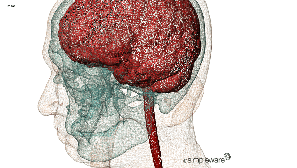 Generating A Detailed 3d Model Of The Human Head From Illustration, Baby, Person, Face Free Transparent Png