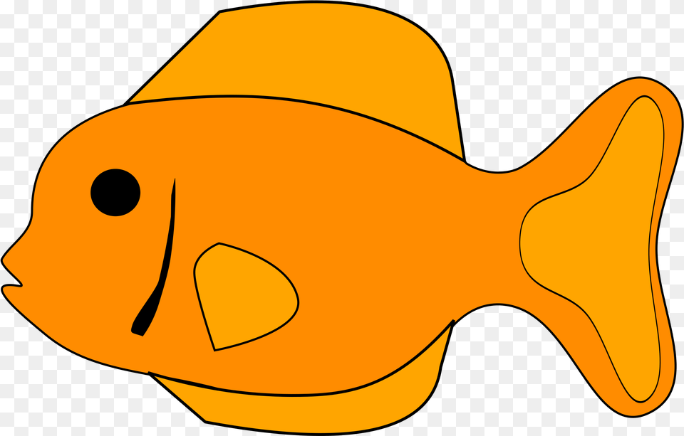 Generic Big Clip Art Of A Fish, Animal, Sea Life, Clothing, Hat Png Image