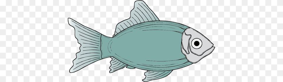 Generic Blue Fish Vector Illustration Fish Clip Art, Animal, Sea Life, Baby, Person Png Image