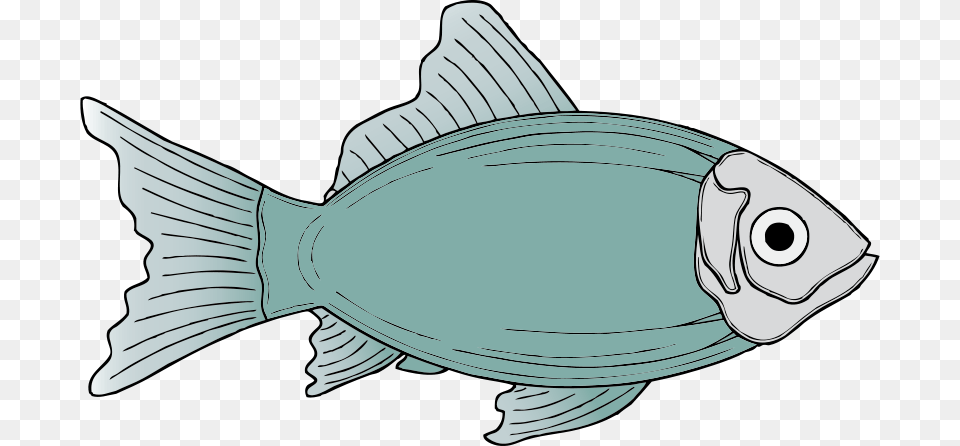 Generic Fish Fish Clip Art, Animal, Sea Life, Shark Png