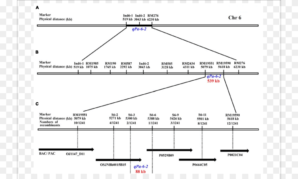 Genetic And Physical Maps Of The Qpa 6 2 Gene, Chart, Plot Png Image