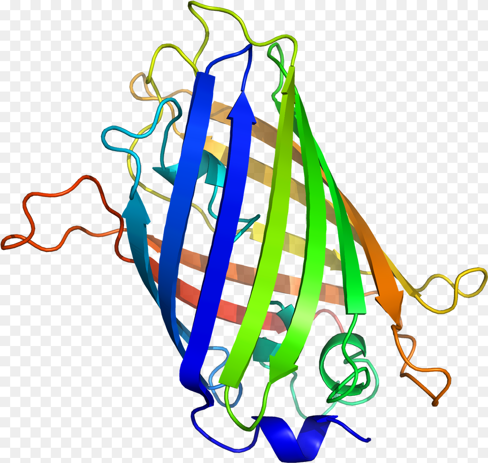 Genetic Engineering Fluorescent Mice, Lighting, Light, Neon Free Png Download