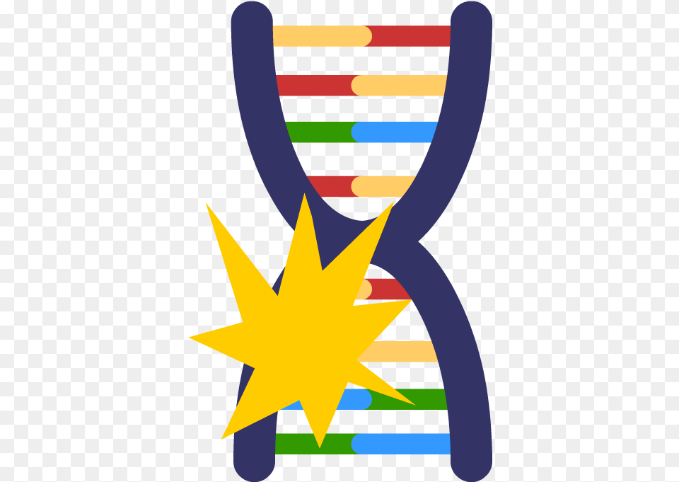 Genetic Mutations Genetics Clipart, Star Symbol, Symbol, Person Png