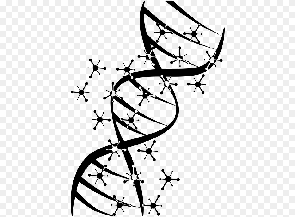 Genetic Science Dna Biology Biyoloji, Gray Free Png Download