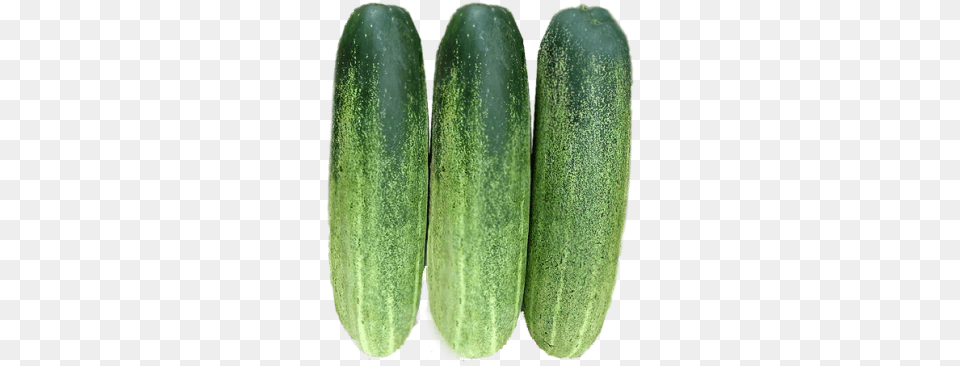 Genetics, Cucumber, Food, Plant, Produce Free Png