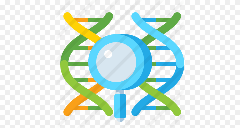 Genetics Education Icons Circle, Bow, Weapon, Light Free Png Download