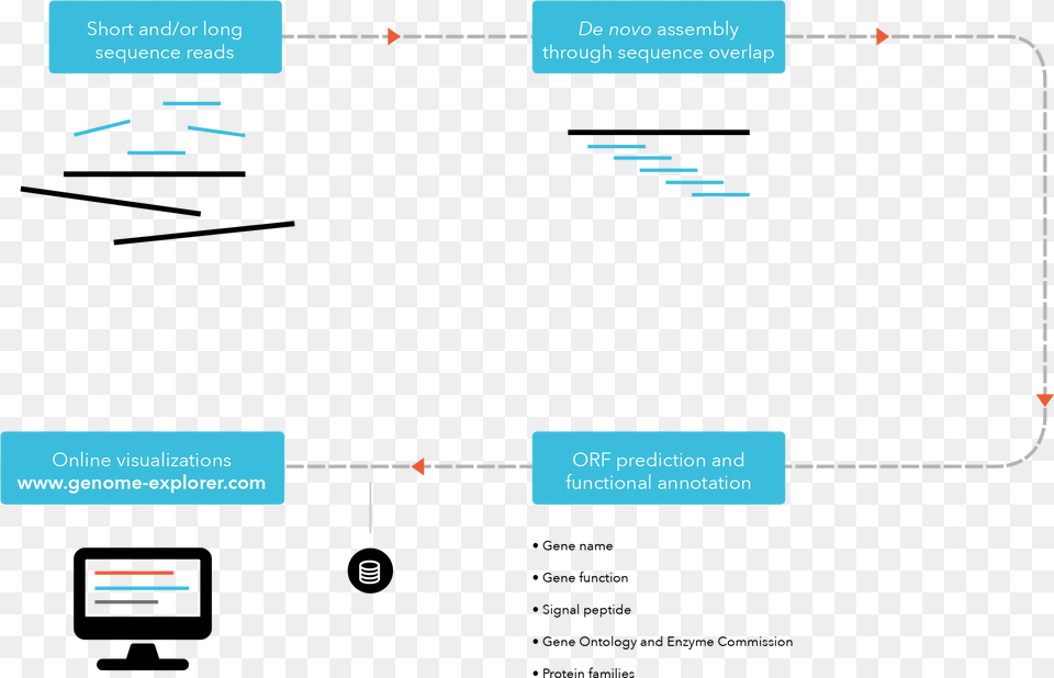 Genome Assembly Diagram, Uml Diagram Free Png