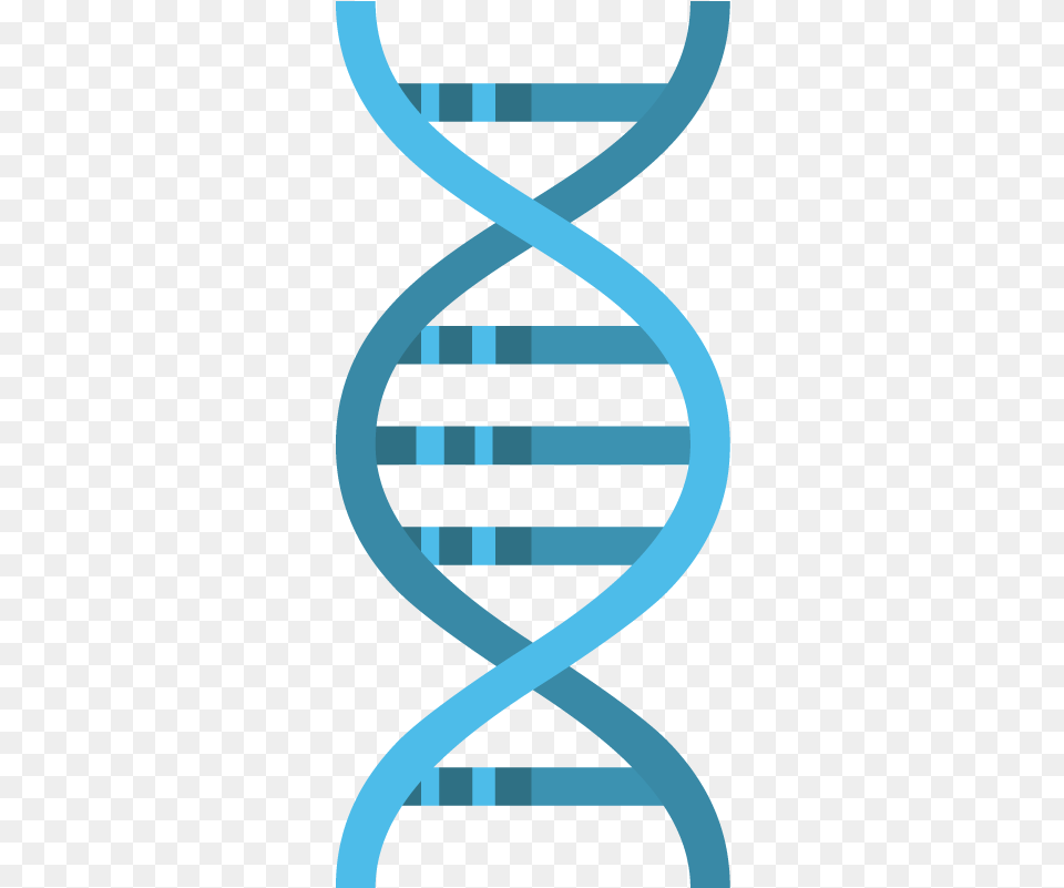 Genome Sequencing Next Generation Sequencing Icon, Spiral, Coil, Hourglass, Smoke Pipe Png Image