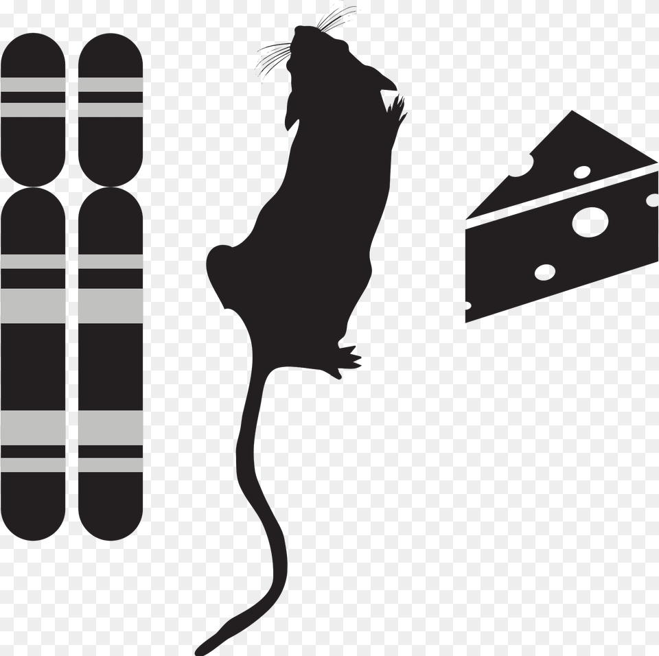 Genotype Phenotype Environment Icon Clipart, Animal, Mammal, Rodent, Kangaroo Png Image
