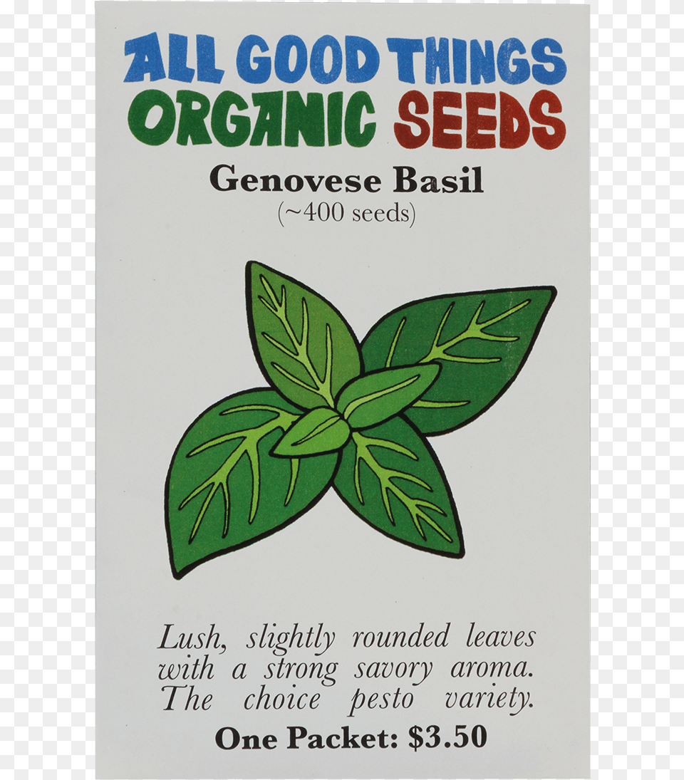 Genovese Basil, Advertisement, Herbal, Herbs, Leaf Free Transparent Png