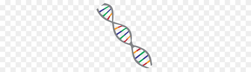 Gentegra Nucleic Acid Stabilization, Accessories, Tie, Spoon, Formal Wear Free Png