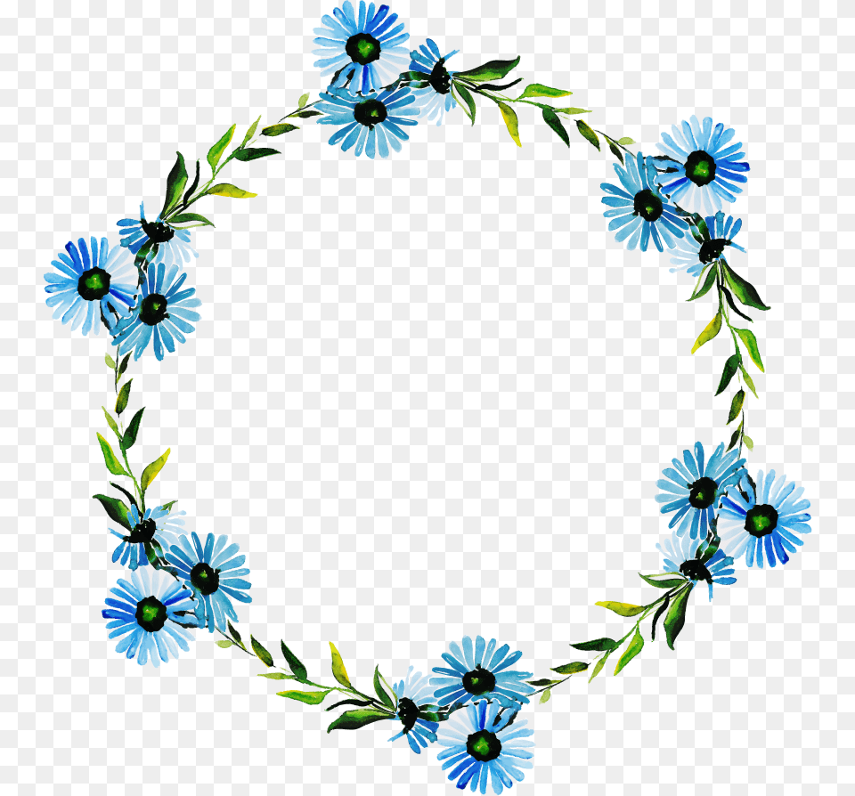 Gentiana, Daisy, Flower, Plant, Pattern Free Png