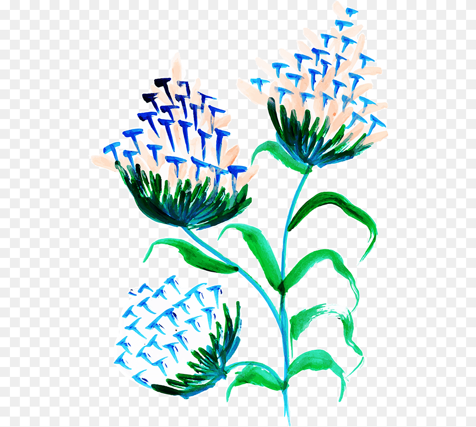Gentiana, Plant, Art, Flower, Graphics Png Image
