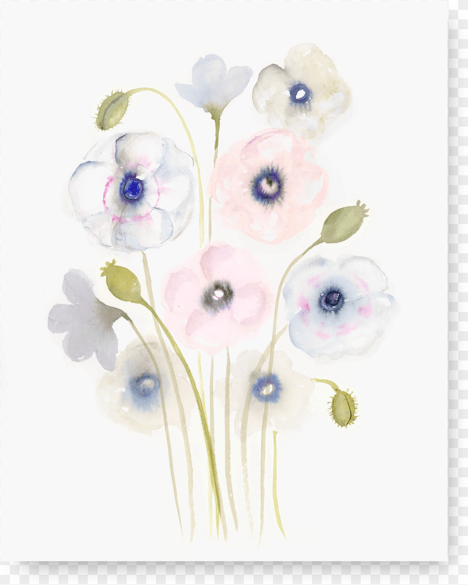 Gentle Poppies, Pattern, Plant, Graphics, Flower Free Transparent Png