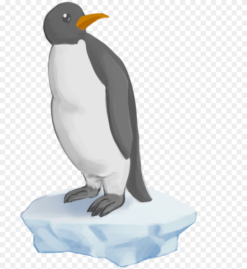 Gentoo Penguin Download Gentoo Penguin, Animal, Bird, King Penguin Free Transparent Png