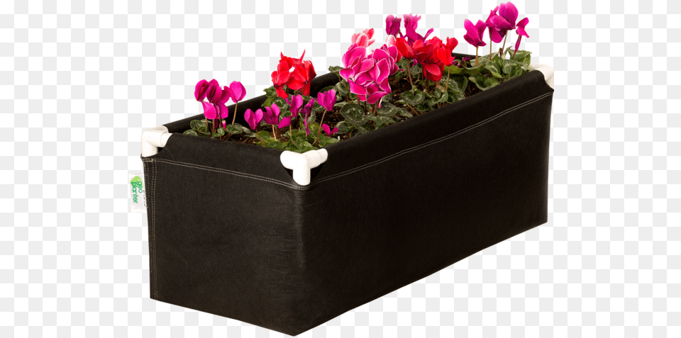 Geo Planter, Flower, Pottery, Potted Plant, Plant Png Image