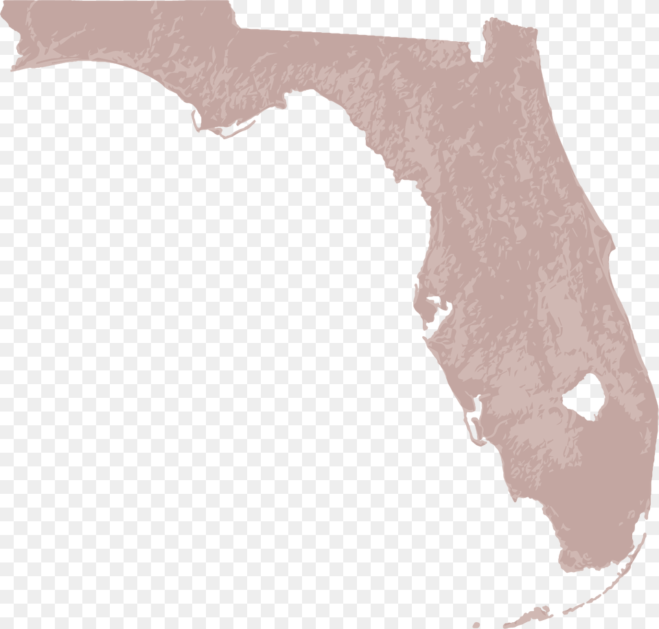 Geographical Map Of Florida, Outdoors, Land, Nature, Chart Free Png Download