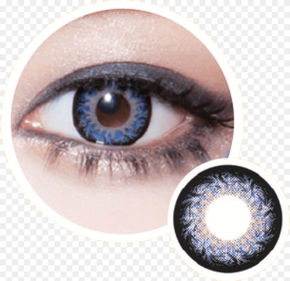 Geolica Holicat Funky Cat Blue 2box Geolica Sin Geo Holicat Funky Cat Blue, Contact Lens, Person Png