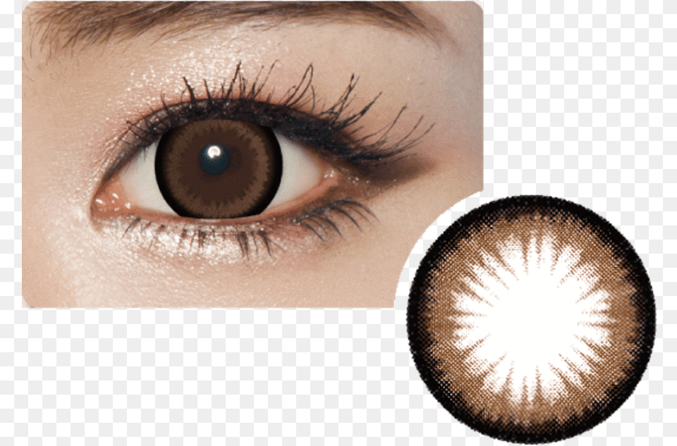 Geolica Princess Mimi Almond Choco 2box Geolica Orange Brown Contact Lens, Adult, Female, Person, Woman Free Transparent Png