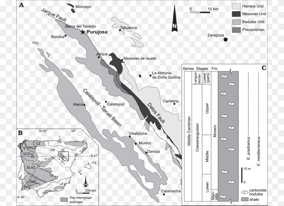 Geological Setting Of The Purujosa Trilobite Assemblage Iberian Peninsula, Chart, Plot, Adult, Bride Free Png