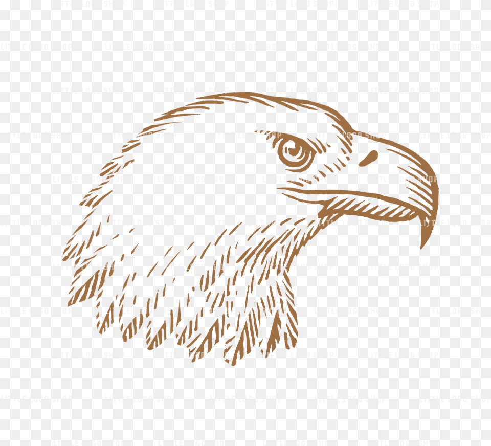 Geometric Eagle Bald Eagle, Animal, Beak, Bird, Dinosaur Free Png