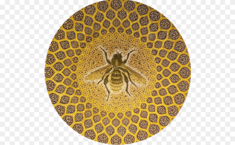 Geometric Pattern In Mosque, Animal, Apidae, Bee, Insect Png Image