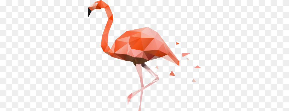 Geometric Pink Flamingo Wall Art Decal Polygon Art Flamingo, Animal, Bird, Adult, Female Free Transparent Png