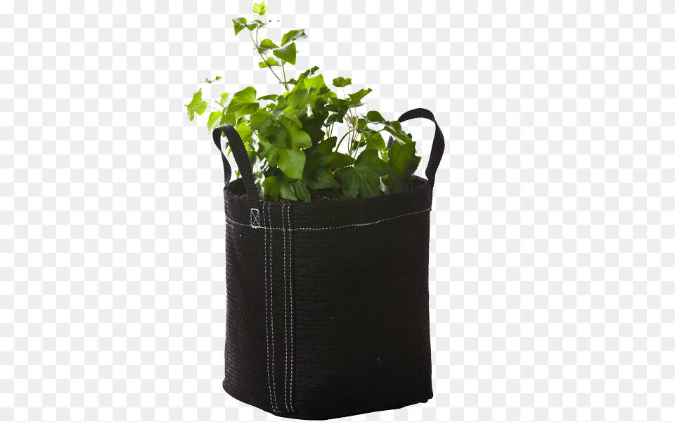 Geopot 1 Gal Handles, Plant, Potted Plant, Herbs, Pottery Png