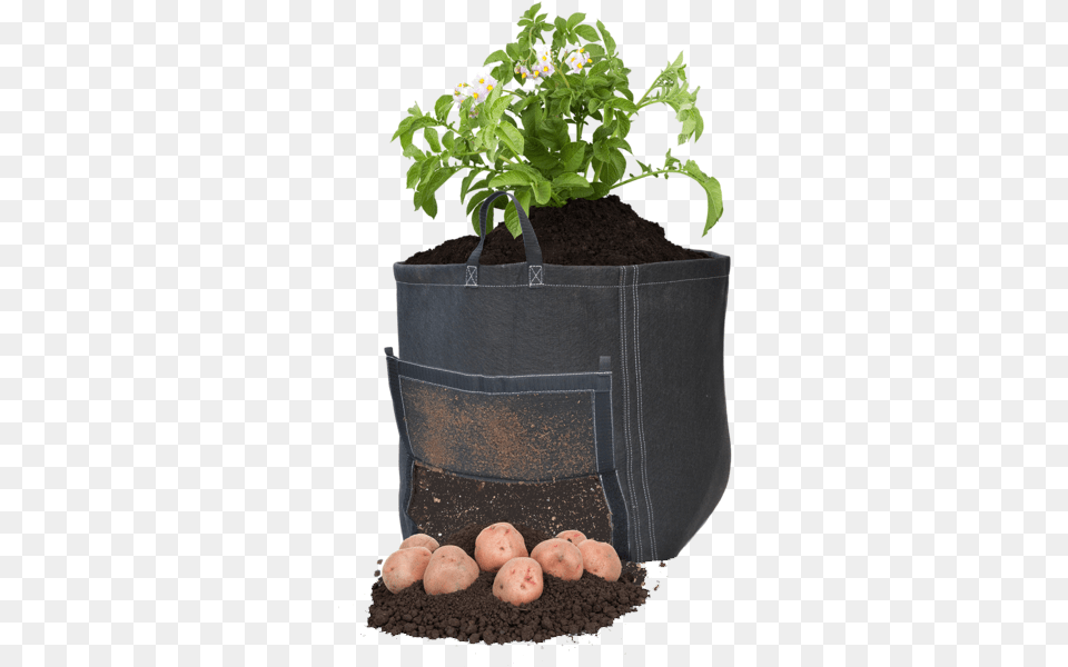 Geopot Square Bottom Potato Bag Potato, Potted Plant, Jar, Plant, Planter Free Transparent Png