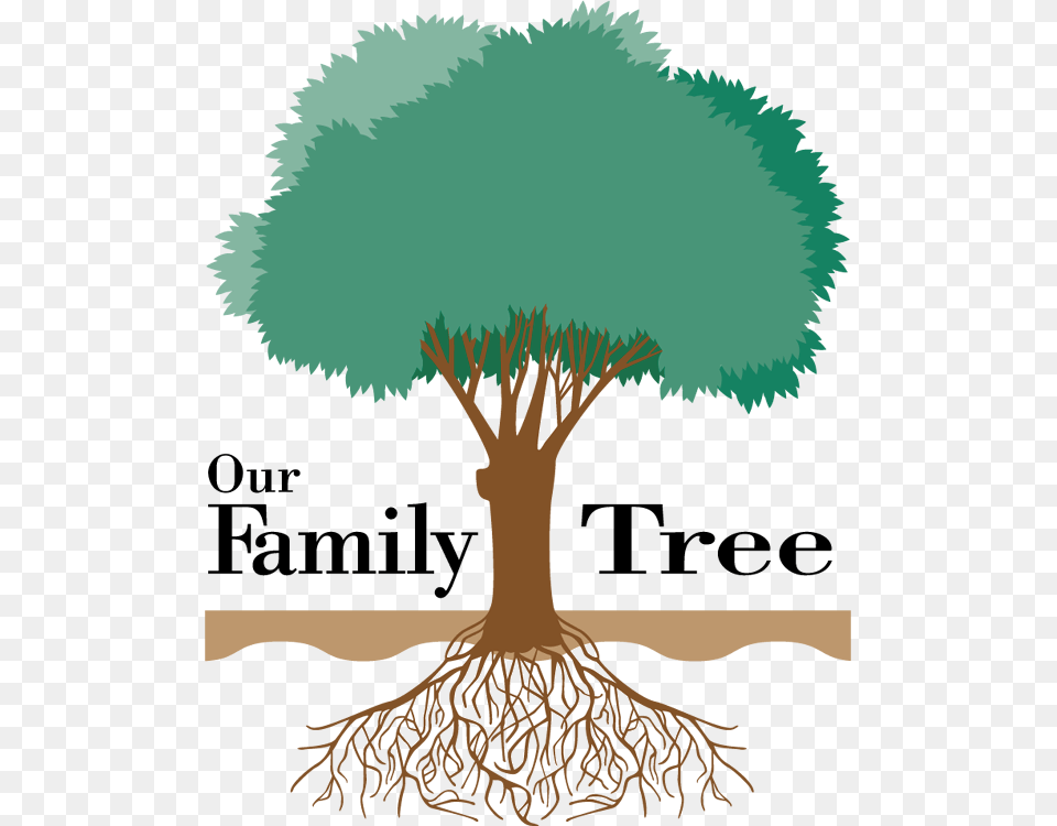 George And Mary Jones Family Reunion Jpg Black And Family Tree Five Members, Plant, Root Png Image