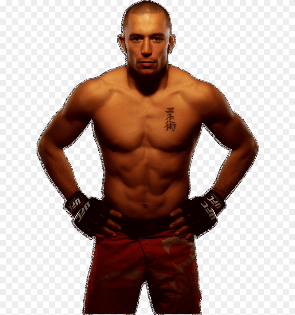 George St Pierre Hair, Adult, Person, Man, Male Png Image