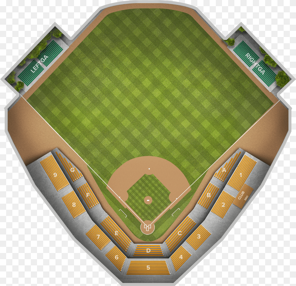 George Steinbrenner Field Left Field Seats, Disk, Dvd, Person Free Png Download