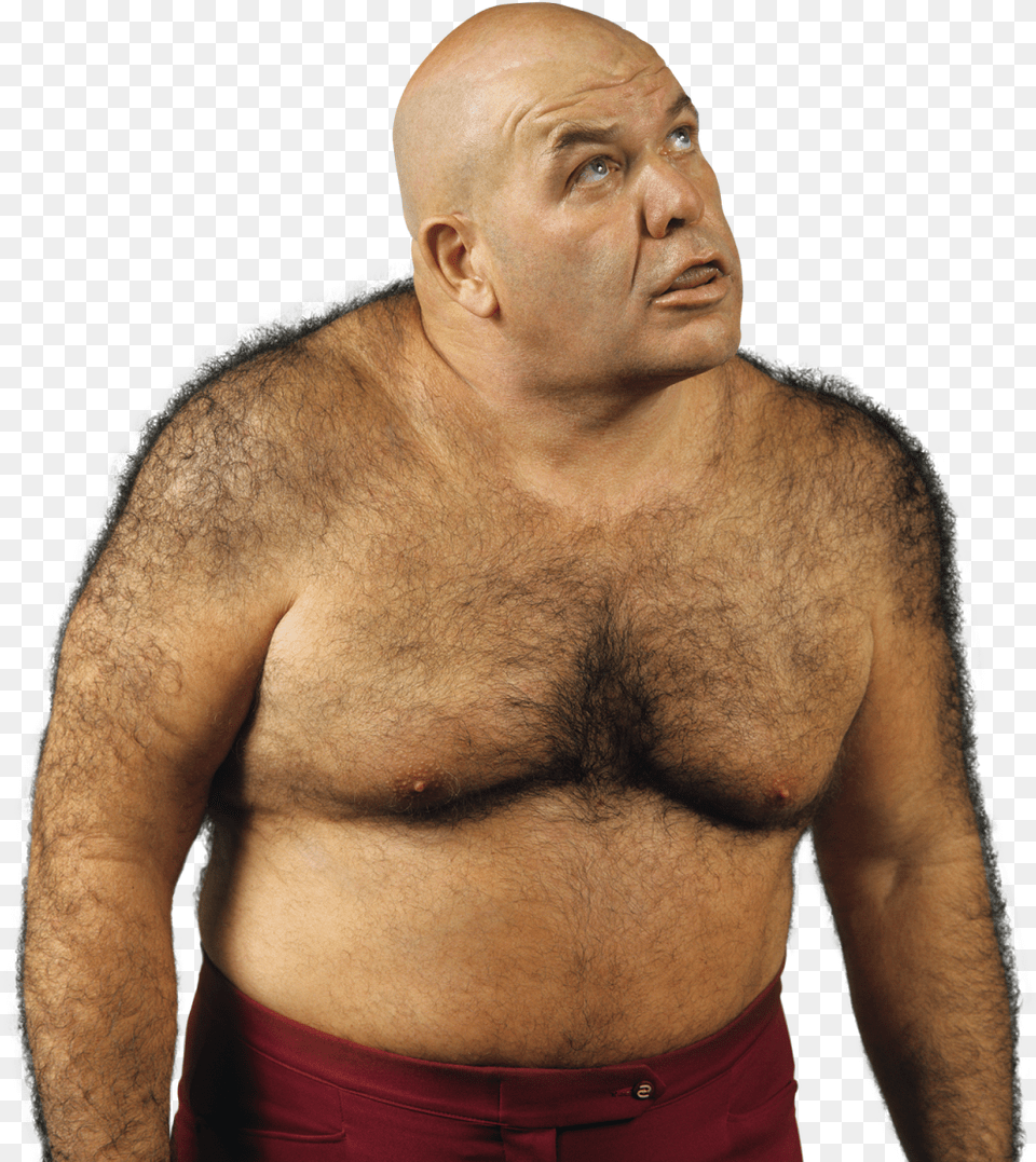 George The Animal Steele, Adult, Person, Man, Male Free Transparent Png