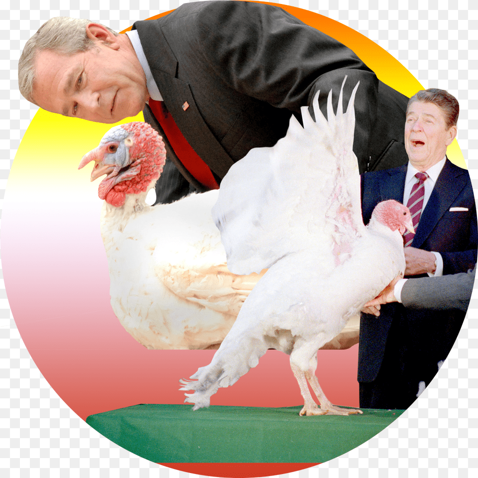 George W Bush, Adult, Person, Man, Male Png