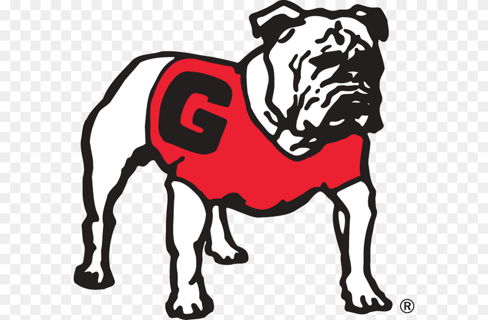 Georgia Bulldog Football Logo Best On Transparent Georgia Bulldogs Uga Logo, Vest, Lifejacket, Clothing, Mammal Png