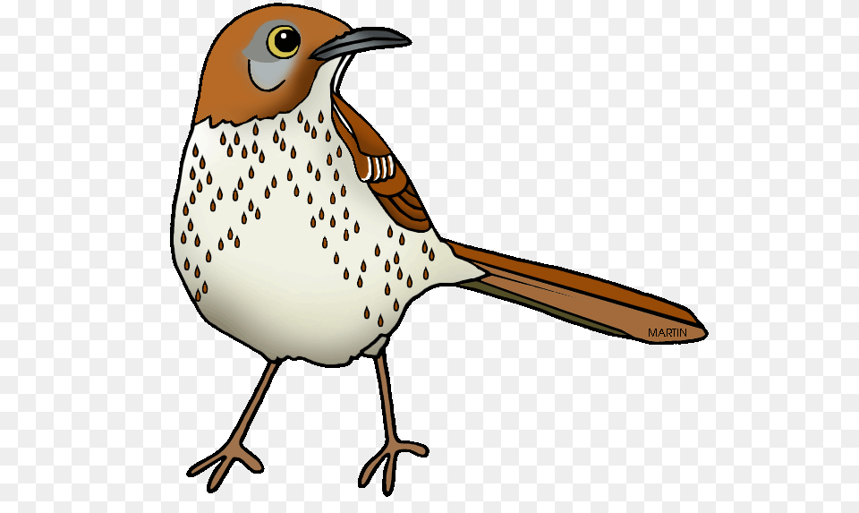 Georgia Clip Art Animal, Anthus, Bird, Beak Free Transparent Png