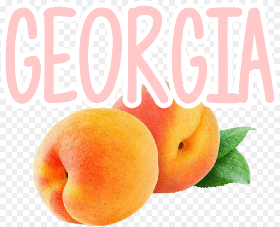 Georgia Fruit Peach Peach, Food, Plant, Produce Png