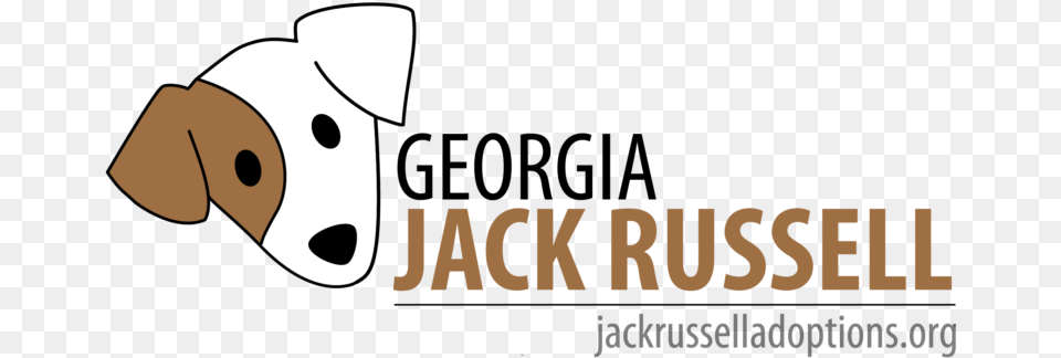 Georgia Jack Russell Haiti Relief, Paper Free Png
