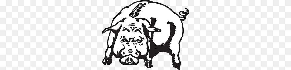 Georgia National Guard Boars Head Clipart, Stencil, Animal, Pig, Mammal Free Png Download