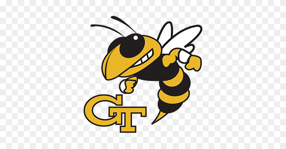Georgia Tech Fanouflage, Animal, Wasp, Invertebrate, Insect Free Transparent Png