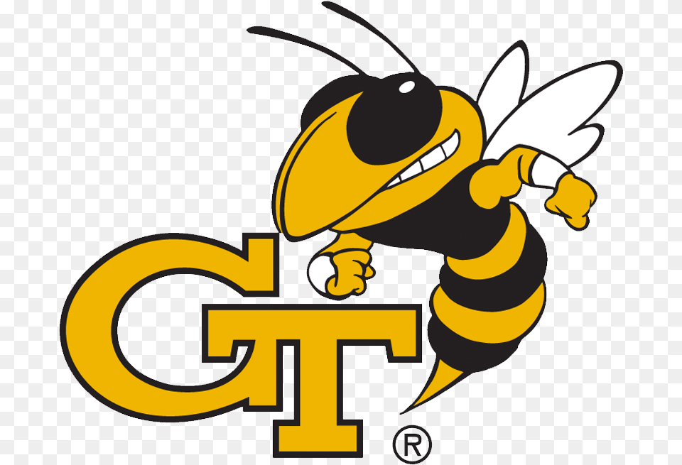Georgia Tech Yellow Jackets, Animal, Invertebrate, Insect, Wasp Free Png Download