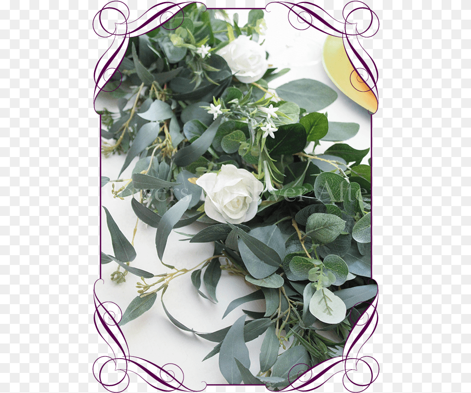 Georgie White Rose Amp Foliage Floribunda, Plant, Flower, Flower Arrangement, Flower Bouquet Png