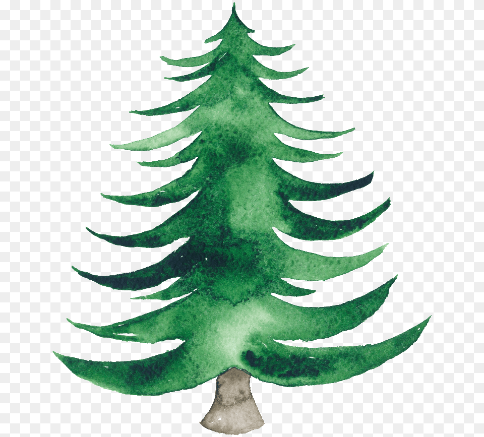 Gerahmtes Poster Pine Tree Marmont Hill Watercolor Christmas Tree, Plant, Accessories, Fir, Leaf Free Transparent Png