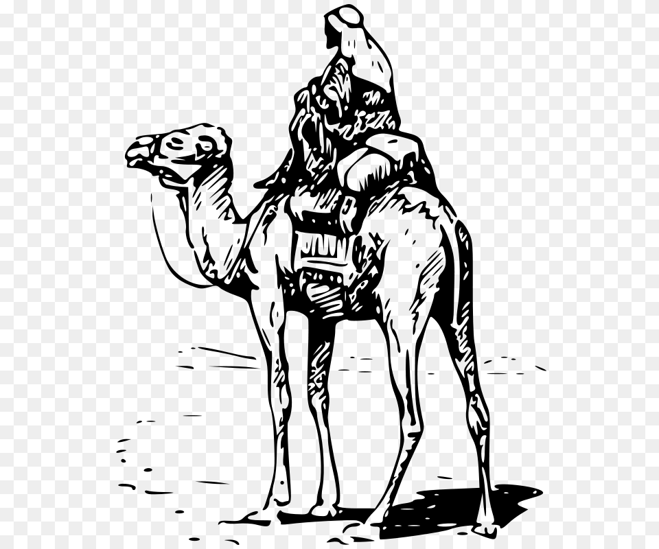 Gerald G Camel With Rider, Gray Free Png